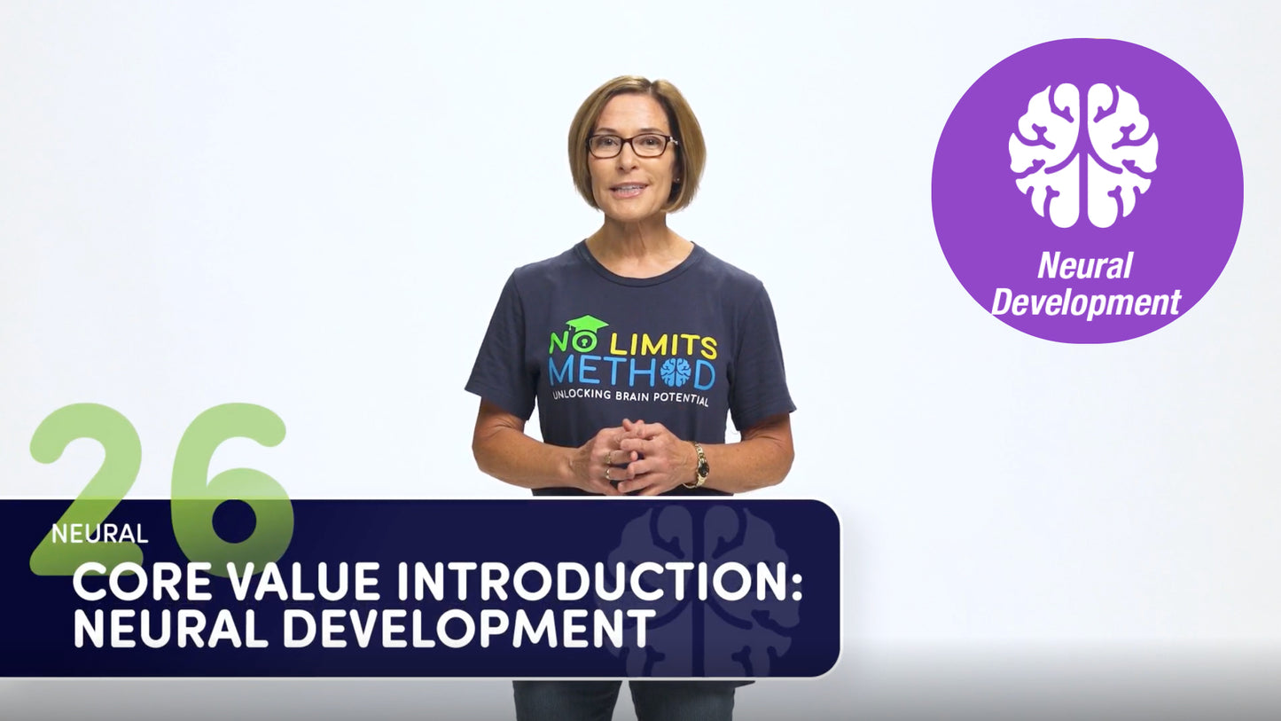 26. Neural Development Introduction