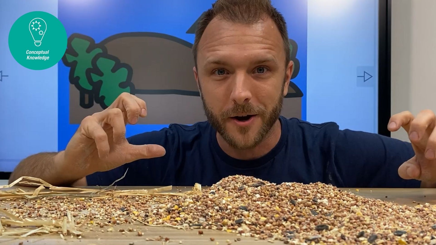 Lesson 13: Vehicle Motion